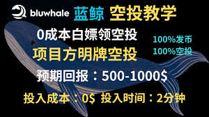 首发：Blu whale AI免费空投视频教学-Blue Whale AI蓝鲸融资700万美金-明牌空投-免费空投教学
